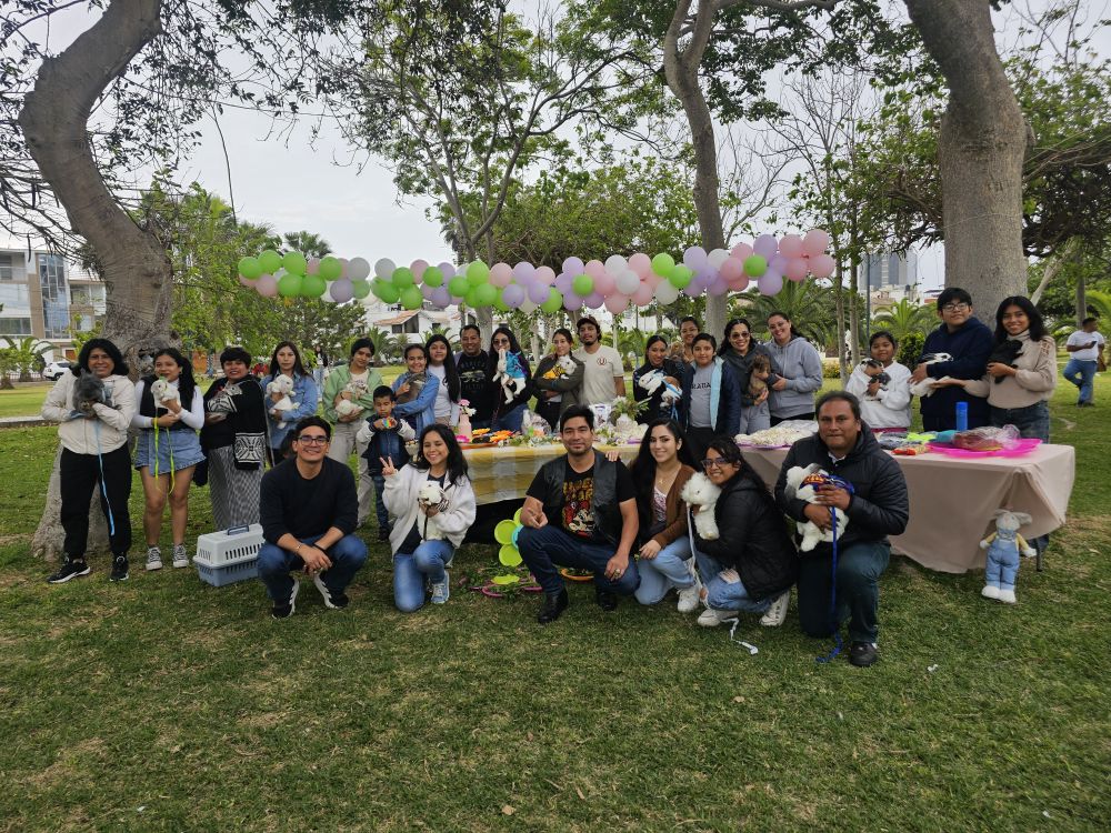 Conejos rescatados en Laurito Saving Lives